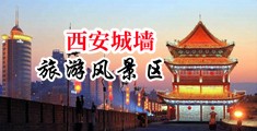 男女操逼黄片中国陕西-西安城墙旅游风景区